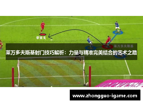 莱万多夫斯基射门技巧解析：力量与精准完美结合的艺术之路