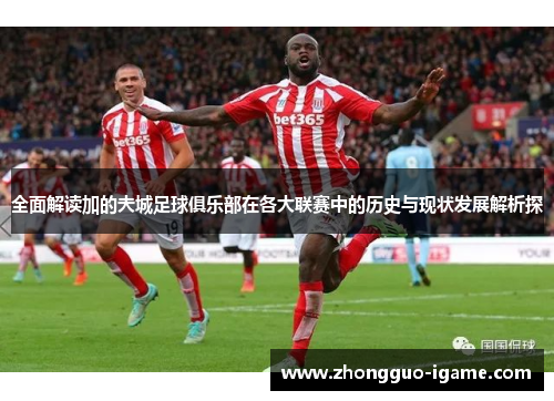 全面解读加的夫城足球俱乐部在各大联赛中的历史与现状发展解析探